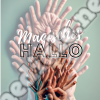 Magisches Hallo